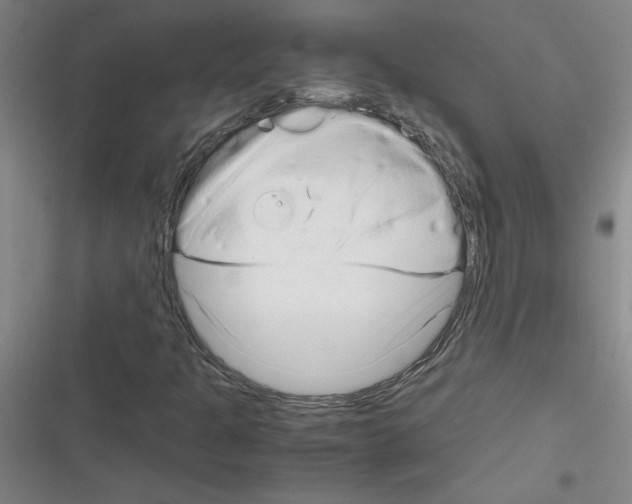 X0000116351301201001131058