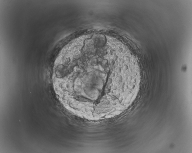 X0000116351302201001131058