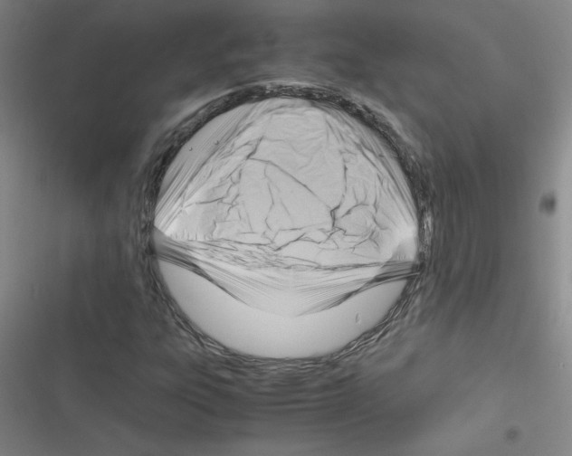 X0000116351303201001131058