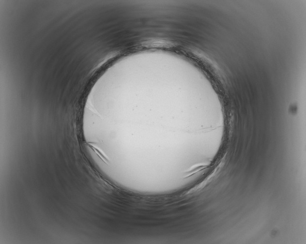X0000116351305201001131058