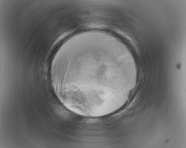 X0000116351306201001131058