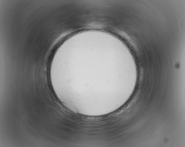X0000116351307201001131058