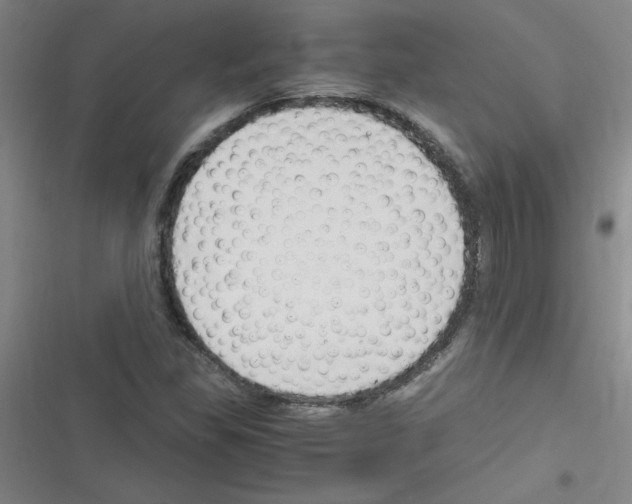 X0000116351309201001131058