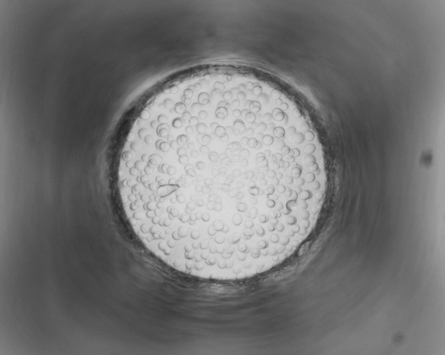 X0000116351311201001131058