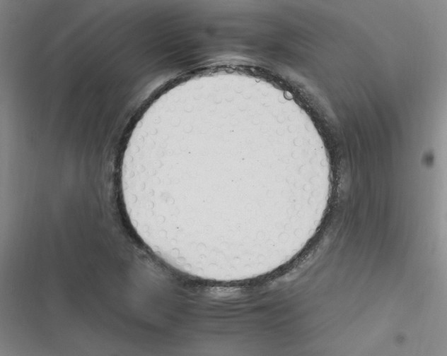 X0000116351313201001131058