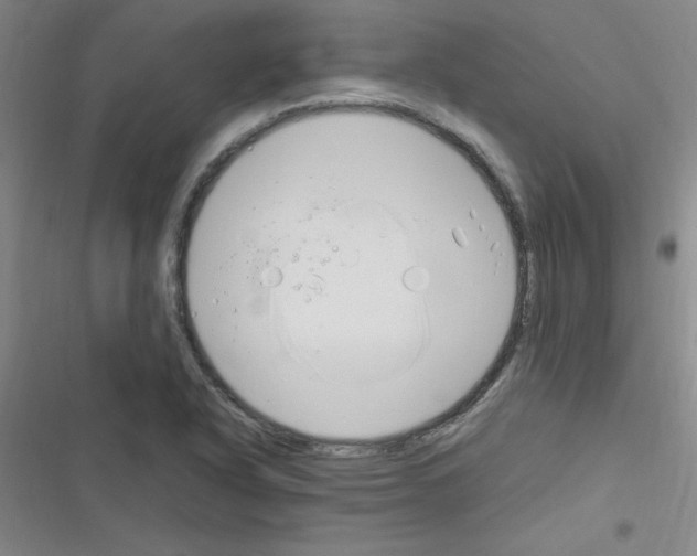 X0000116351318201001131058