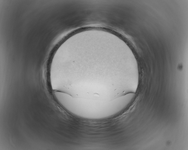 X0000116351319201001131058