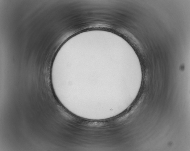 X0000116351321201001131058