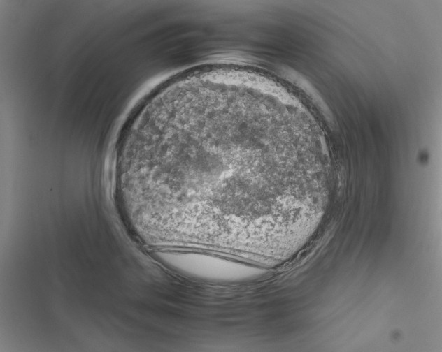 X0000116351323201001131058