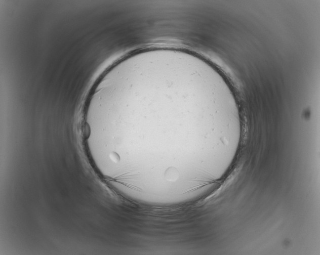 X0000116351325201001131058