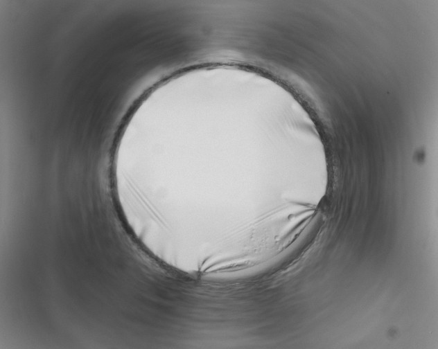 X0000116351326201001131058