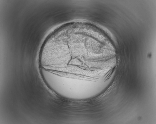 X0000116351327201001131058