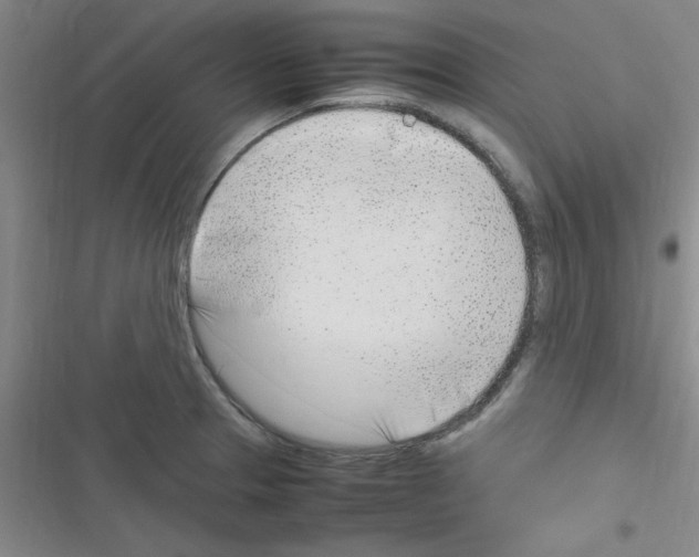 X0000116351329201001131058