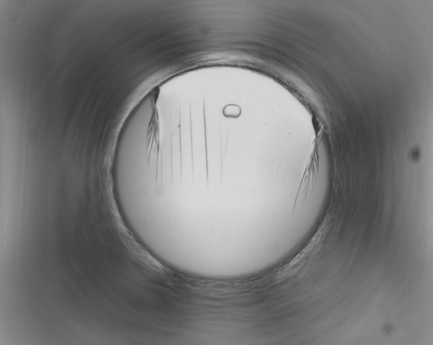 X0000116351330201001131058