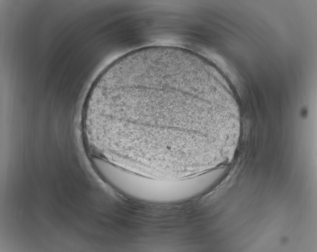 X0000116351331201001131058