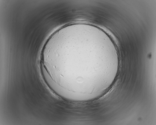X0000116351333201001131058
