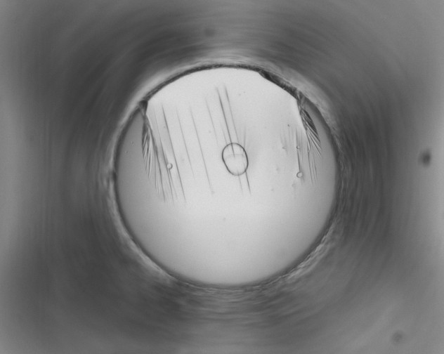 X0000116351334201001131058