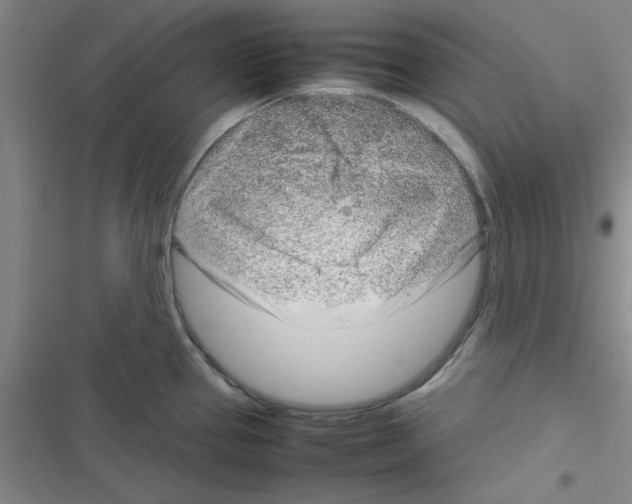 X0000116351337201001131058