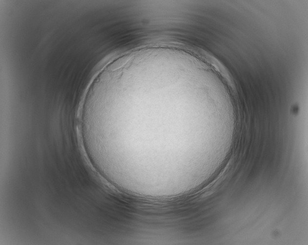 X0000116351338201001131058