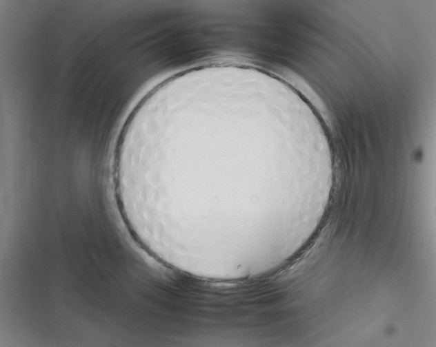 X0000116351339201001131058