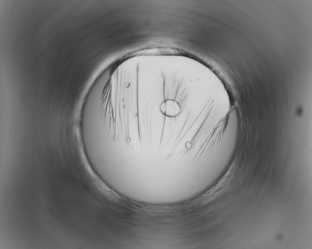 X0000116351342201001131058
