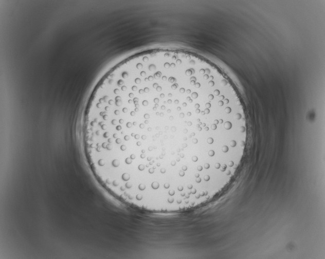 X0000116351343201001131058