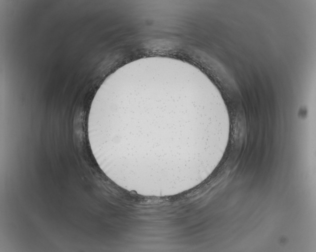 X0000116351346201001131057