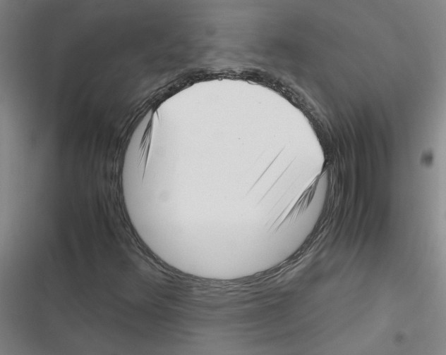 X0000116351348201001131057