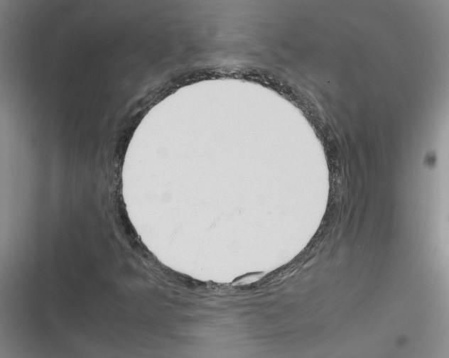 X0000116351349201001131057
