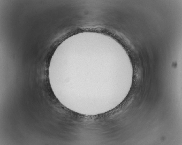 X0000116351350201001131057