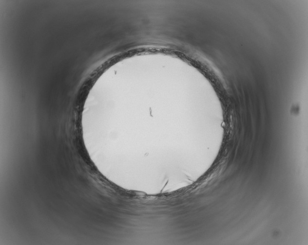 X0000116351352201001131057
