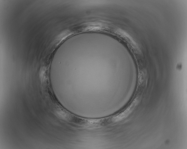 X0000116351353201001131057