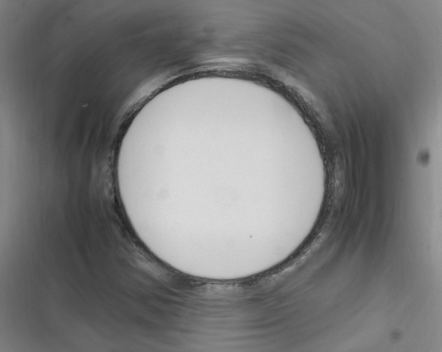 X0000116351354201001131057