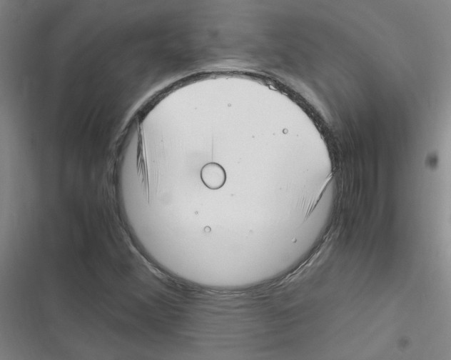X0000116351356201001131057