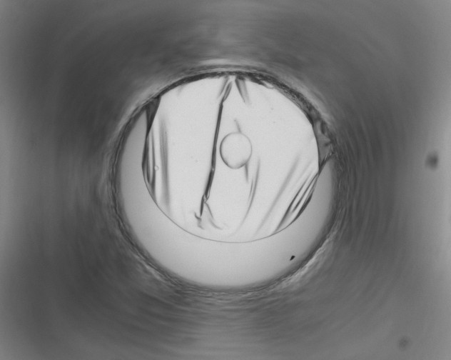 X0000116351357201001131057