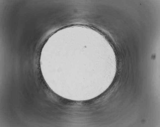 X0000116351359201001131057