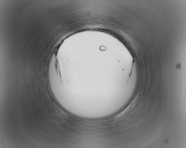 X0000116351361201001131057