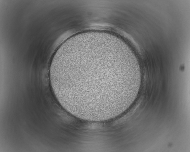 X0000116351362201001131057