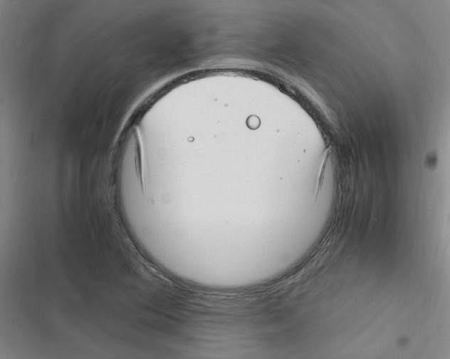 X0000116351364201001131057