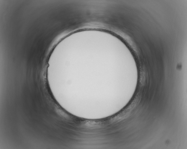 X0000116351366201001131057