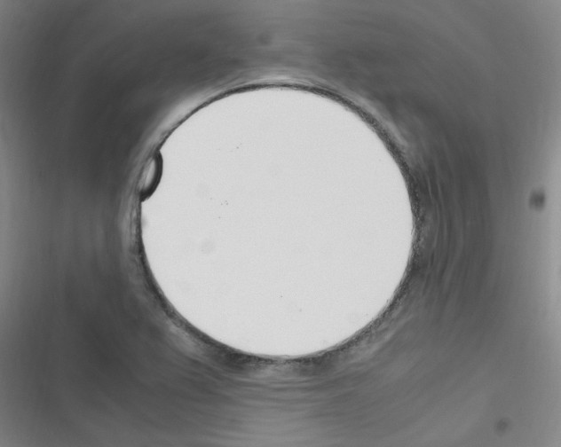 X0000116351367201001131057