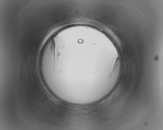 X0000116351368201001131057