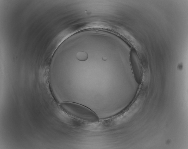 X0000116351369201001131057