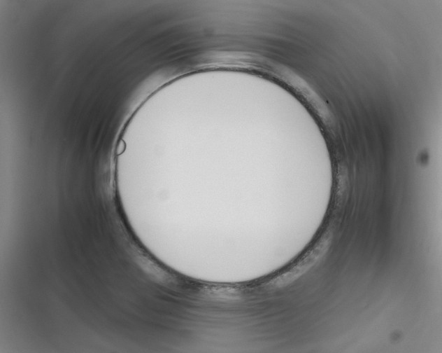 X0000116351370201001131057