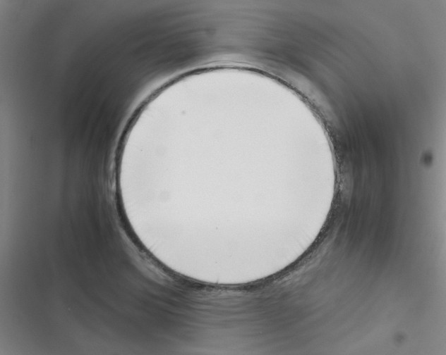 X0000116351372201001131057