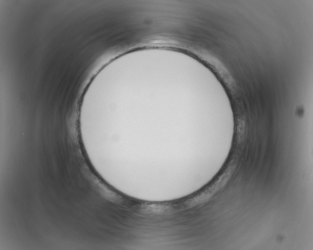 X0000116351374201001131057