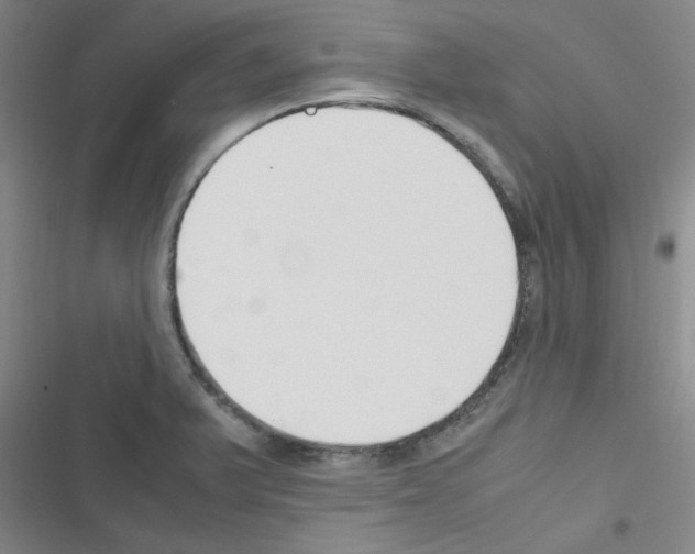 X0000116351375201001131057