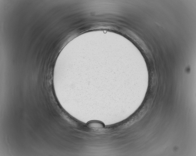X0000116351377201001131057