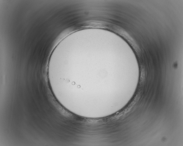 X0000116351378201001131057