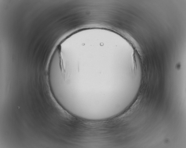 X0000116351380201001131057
